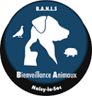 Compte-rendu de la réunion du Collectif n° 5