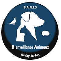 Les Voeux 2022 du Collectif